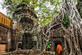 Temple de Ta Prohm