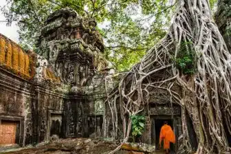 Temple de Ta Prohm