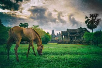 Equitation à Siem Reap